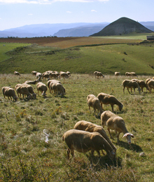 Hotels et restaurants en Lozère